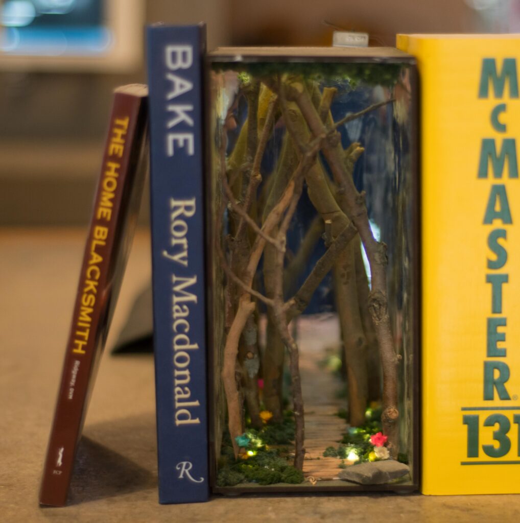 Enchanted Forest: Build a Miniature Woodland World
