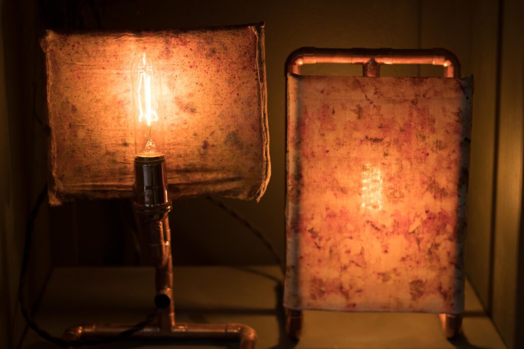 Protected: Create Illuminated Botanicals: Natural Dye Lamp Making